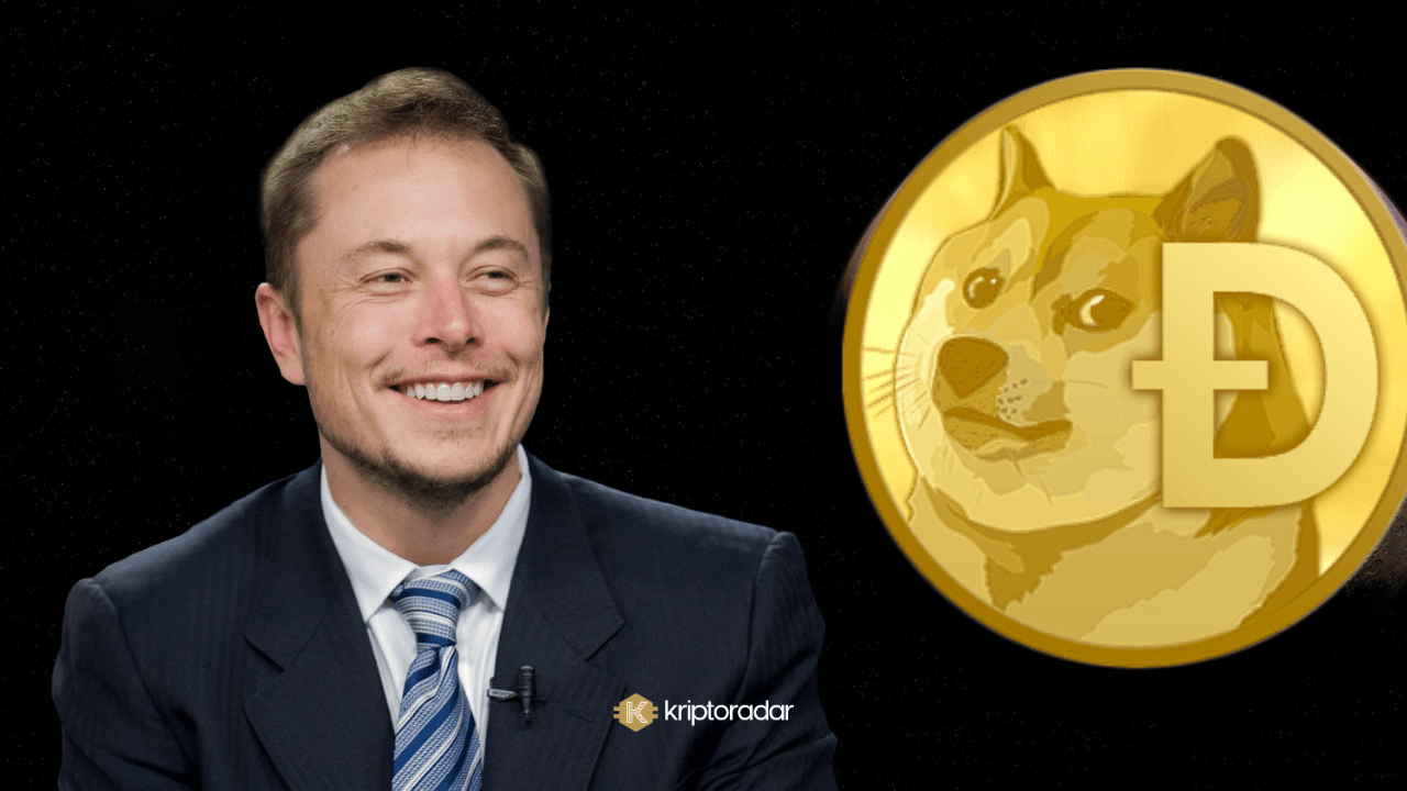 Doge Coin Nedir? Geleceği Hakkında Yorumlar Neler?