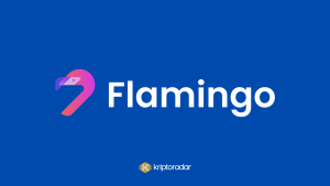 Flamingo Coin Nedir? Geleceği Hakkında Yorumlar Neler?