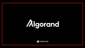 Algorand Coin Nedir, Nasıl Alınır, Geleceği Hakkında Yorumlar Nelerdir?