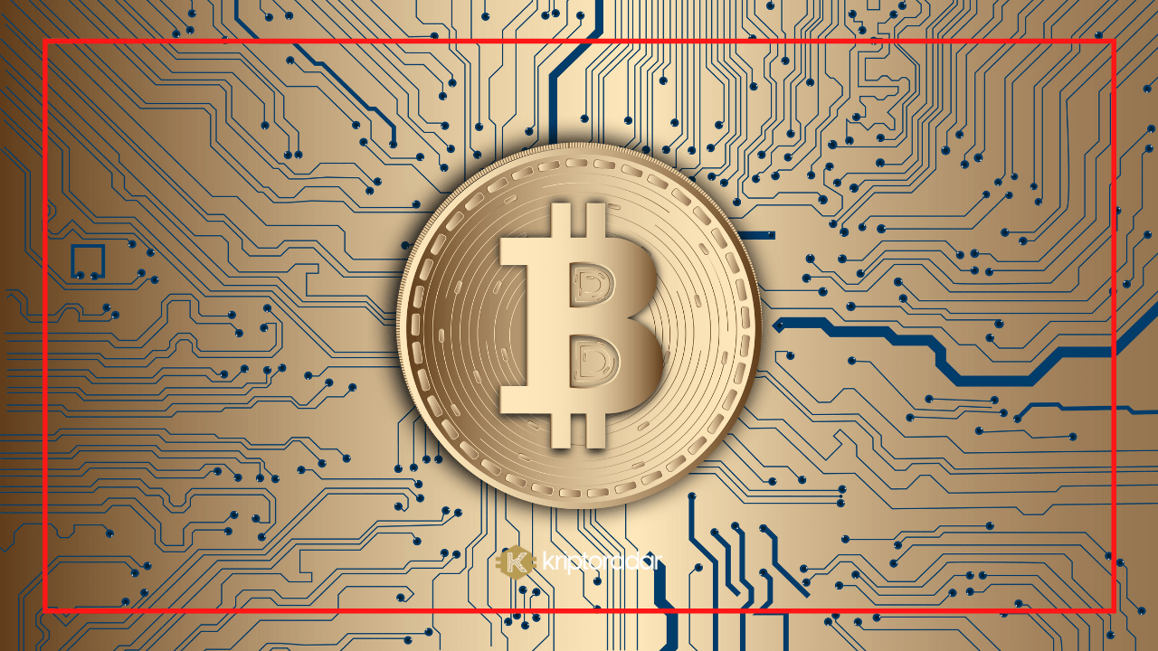 Bitcoin Nedir? Geleceği Hakkında Yorumlar Neler?