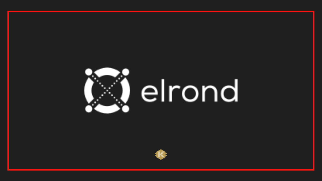 Elrond EGLD Coin Nedir? Geleceği Hakkında Yorumlar Nelerdir?