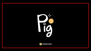 Pig Finance PIG Coin Nedir, Nereden Alınır, Geleceği Hakkında Yorumlar Nelerdir?