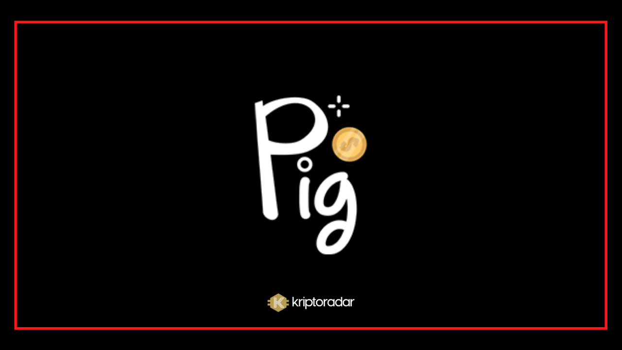 Pig Finance, PIG Coin Nedir? Geleceği Hakkında Yorumlar Nelerdir?