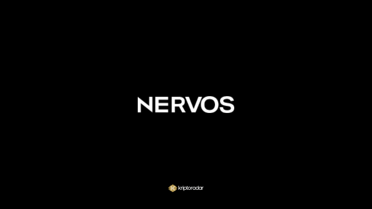 Nervos Network Nedir, Nasıl Kullanılır?