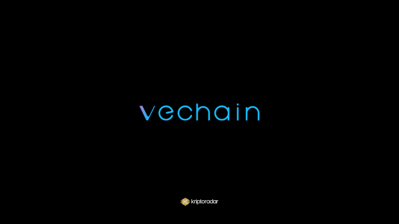 VeChain Nedir? Nasıl Kullanılır?