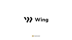 Wing Nedir, Hangi Avantajları Sunar