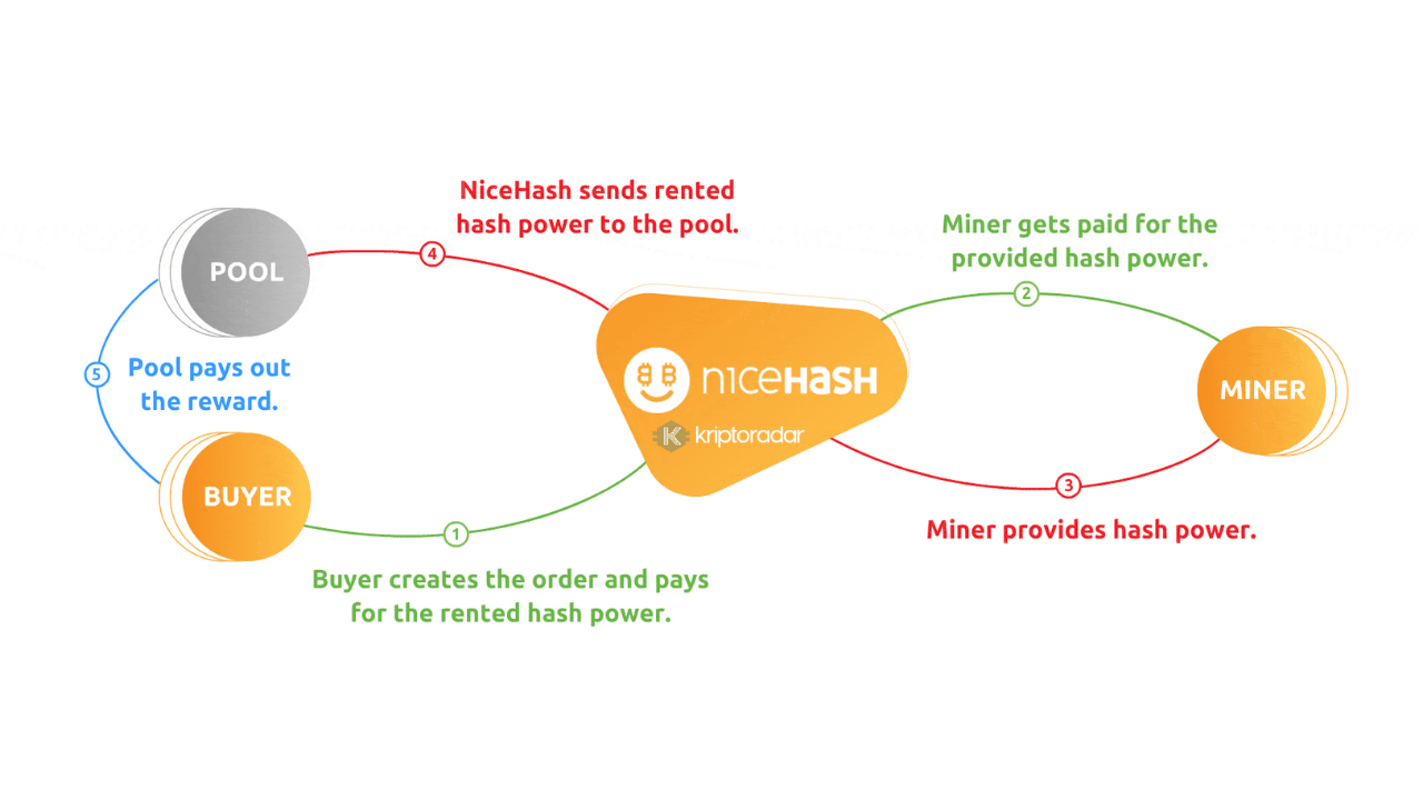 Nicehas Mining, Nasıl Kullanılır?