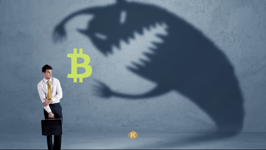 Bitcoin Yatırımcıları Korkuyor Mu?