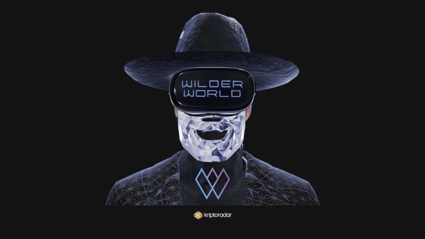 Wilder World  Anlama Kılavuzu