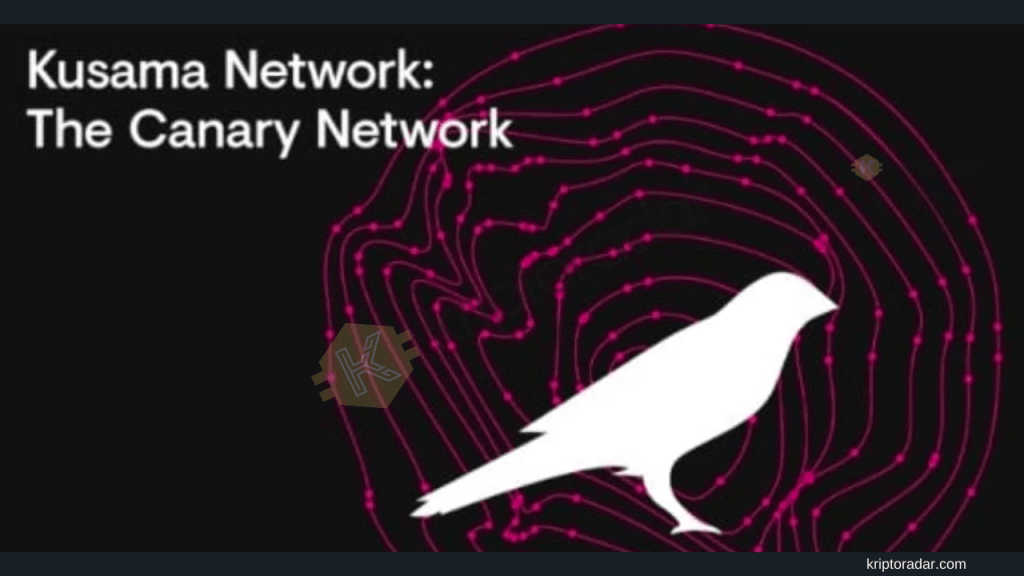 Polkadot Kusama Network