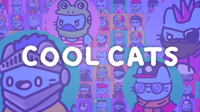 Cool Cats NFT ‘Cooltopia’yı Başlattı: İşte Bilmeniz Gerekenler