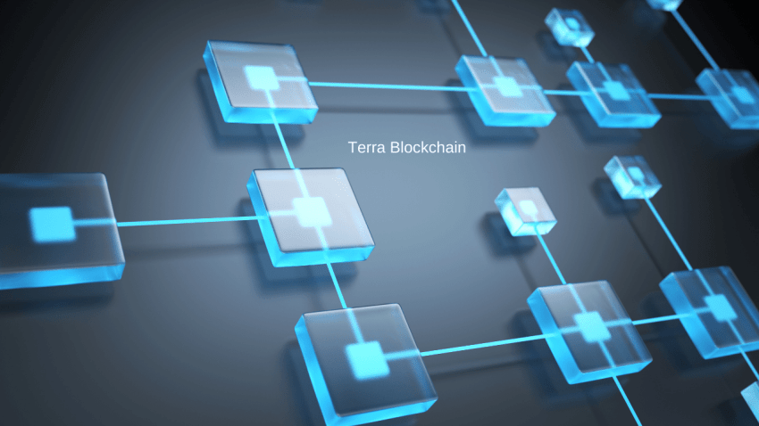 Terra Blockchain 9 Saatlik Durmanın Ardından Devam Ediyor