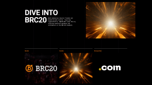 BRC20 Coin Nedir? Geleceği Hakkında Yorumlar Nelerdir?