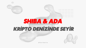SHIBA ve ADA: Kripto Denizinde Seyir ve Boğa Beklentileri 🌊🔮