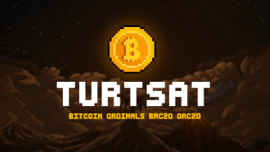 TurtSat Coin Nedir? Geleceği Hakkında Yorumlar Nelerdir?