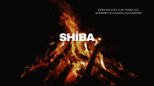 Shiba Zirveye Doğru: ShibArmy'nin Yakma Hızındaki Patlama ve Topluluk Etkileşimi