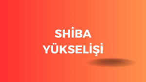 Shiba Yükselişi : Kripto Piyasasında Yıldızlaşan Bir Değer