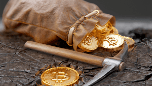 Bitcoin Madenciliği 2024