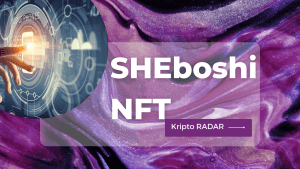 SHEboshi NFT Lansmanı ve Shiba Inu Ekosistem Gelişmeleri