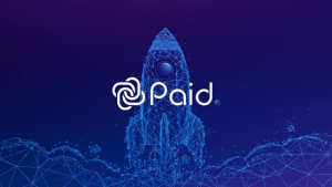 PAID Network Launchpad: Yatırımcılar İçin İdeal Seçenek Mi? 🚀