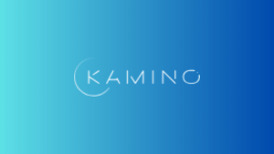 Kamino: DeFi'de Otomatik Likidite ve Yüksek Getiri Fırsatı! 🚀