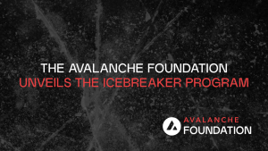 Avalanche Vakfı, İnovasyonu Teşvik Etmek İçin Icebreaker Programını Başlattı